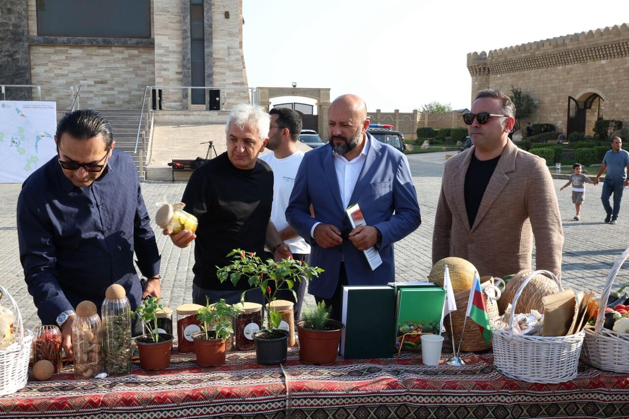 Qalada Əncir festivalı
