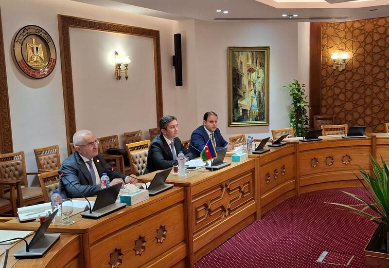 Замглавы МИД Азербайджана провел встречи в Египте