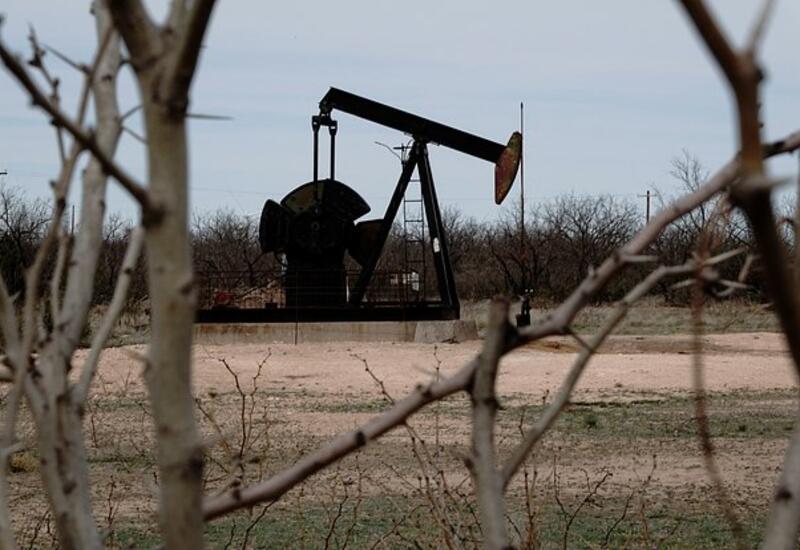 Топливные гиганты приготовились к обвалу нефтяных цен