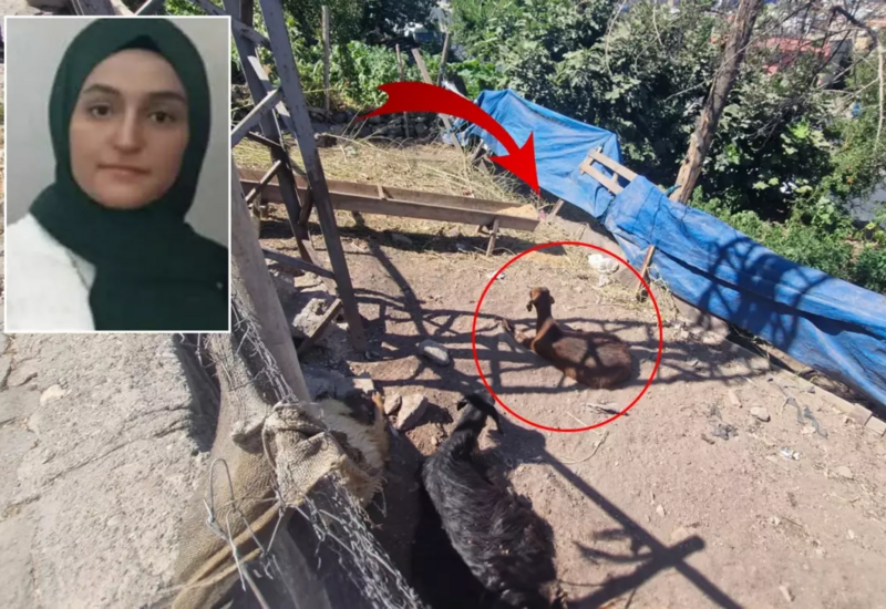 22 yaşlı Pərvin faciəvi şəkildə öldü