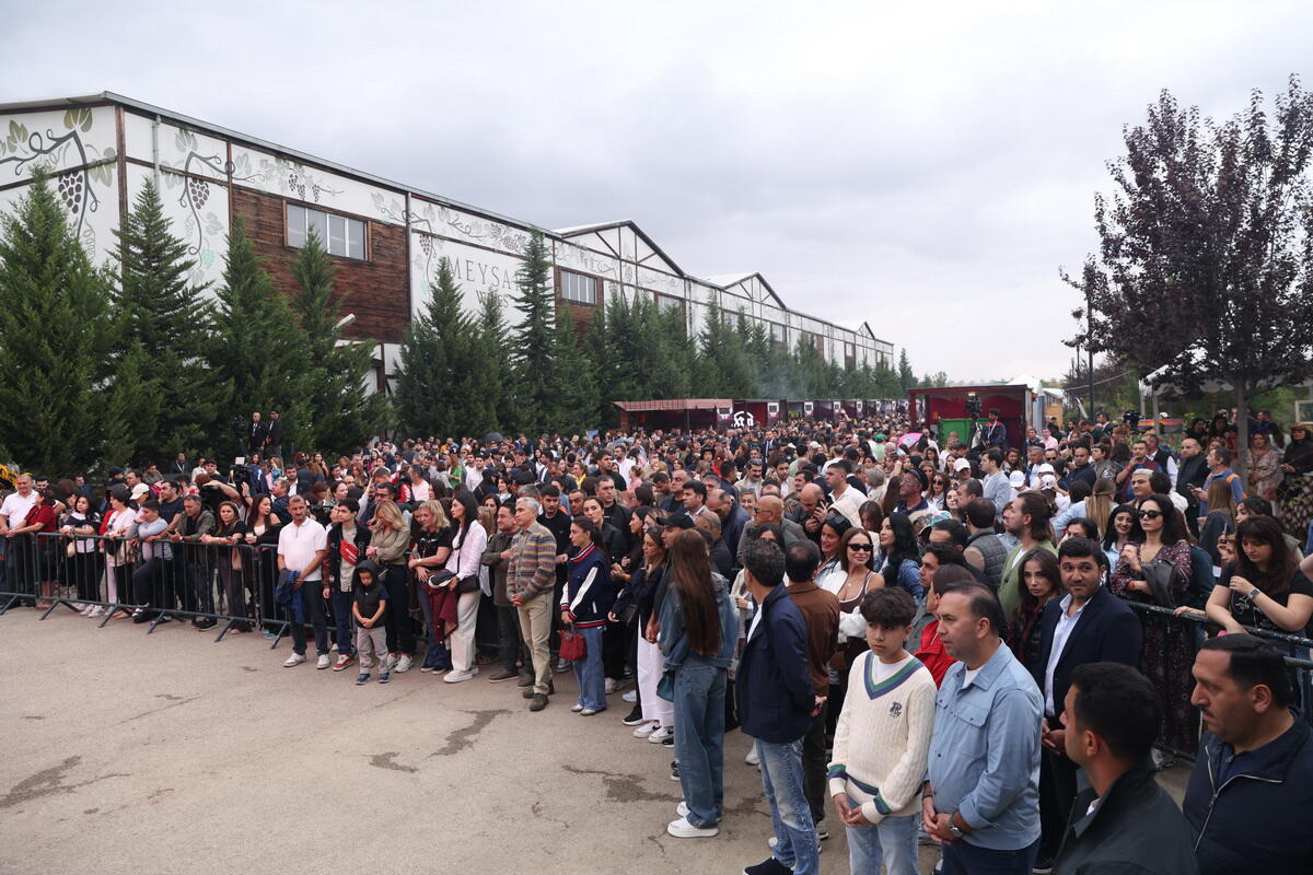 Şamaxıda növbəti Üzüm və Şərab Festivalının açılışı olub