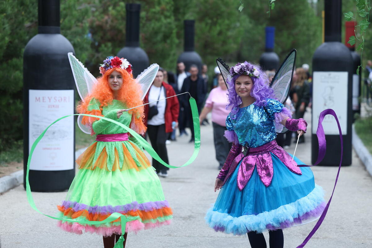 Şamaxıda növbəti Üzüm və Şərab Festivalının açılışı olub