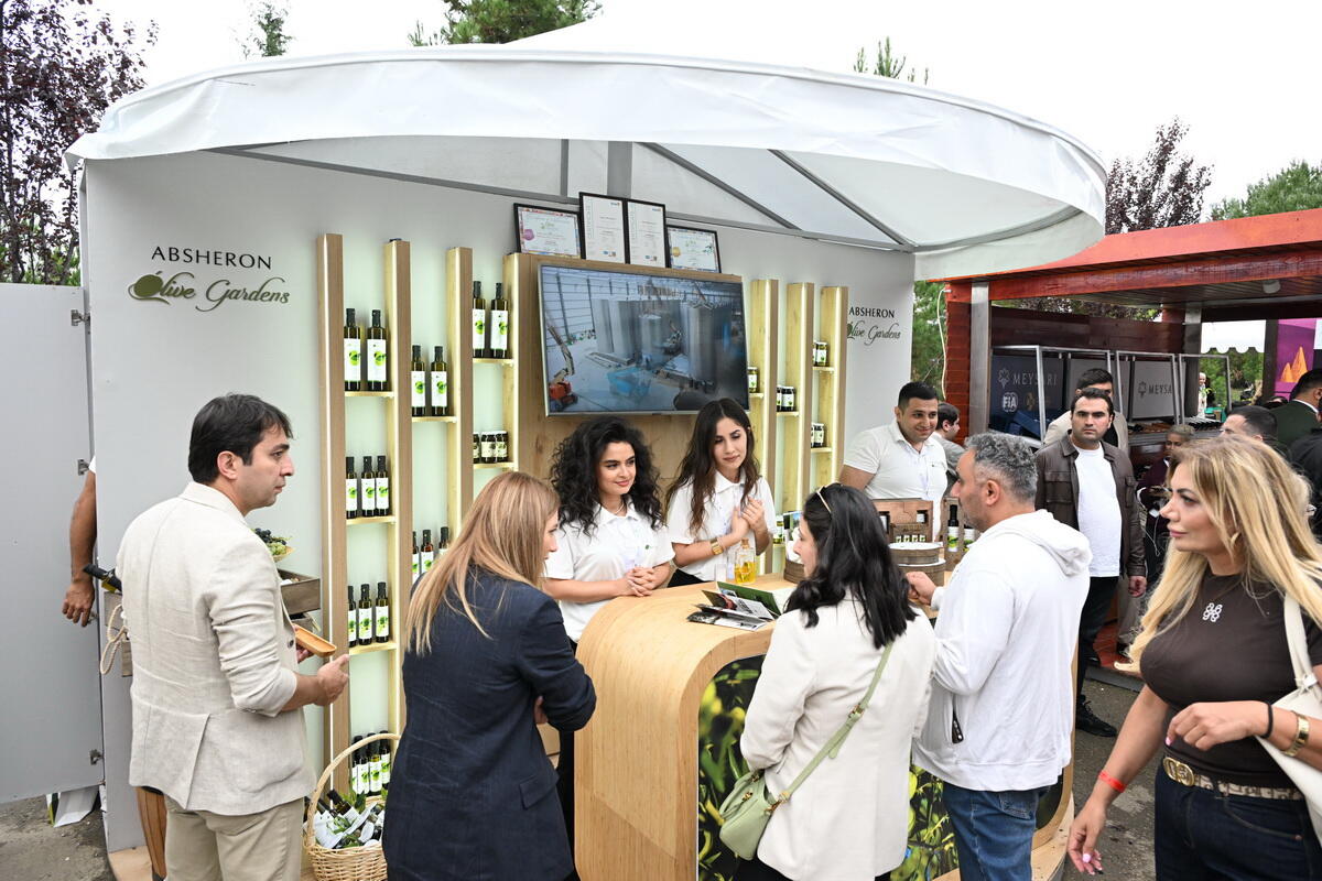 Şamaxıda növbəti Üzüm və Şərab Festivalının açılışı olub