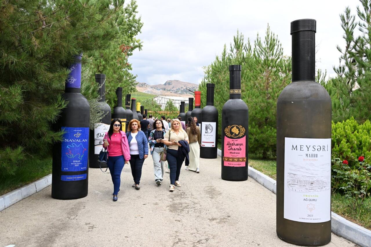 Şamaxıda Üzüm və Şərab Festivalı start götürür