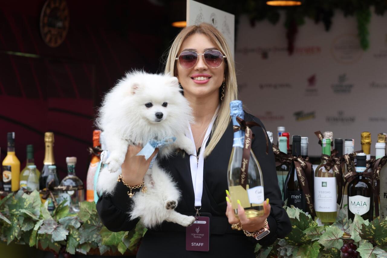 Şamaxıda Üzüm və Şərab Festivalı start götürür