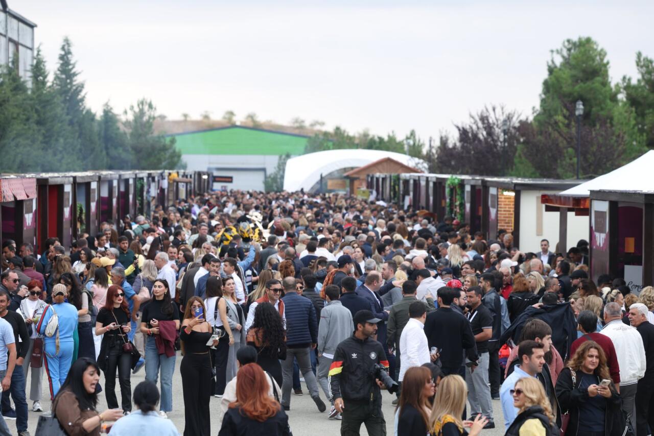 Şamaxıda Üzüm və Şərab Festivalı start götürür