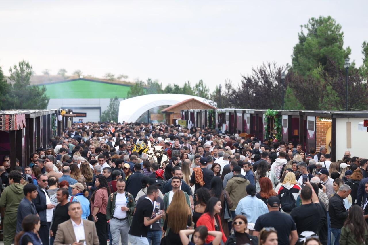 Şamaxıda Üzüm və Şərab Festivalı start götürür