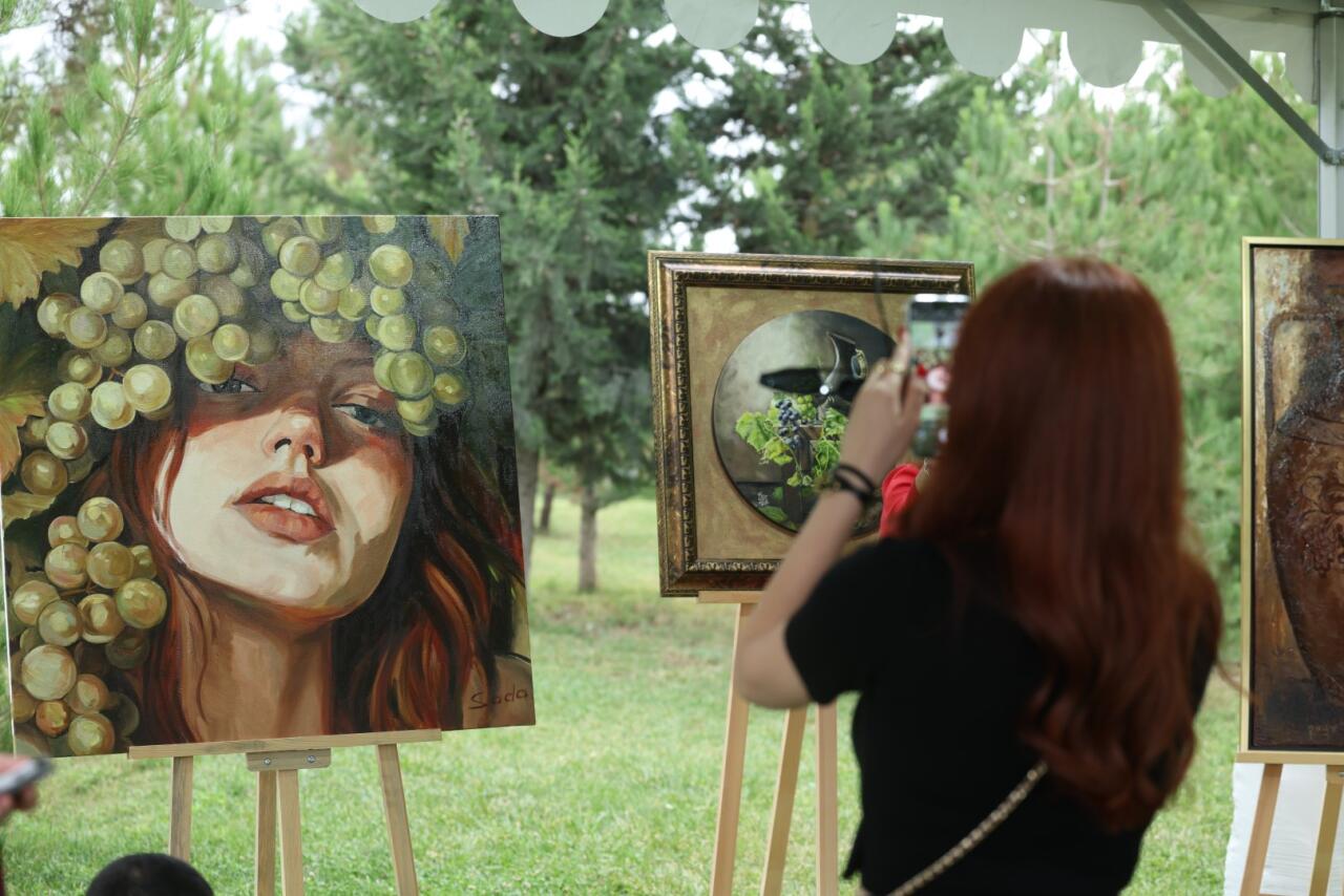 Şamaxıda Üzüm və Şərab Festivalı start götürür