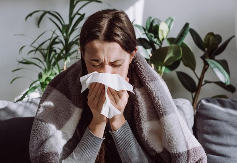 Названы пять шагов для подготовки к сезону гриппа и простуд