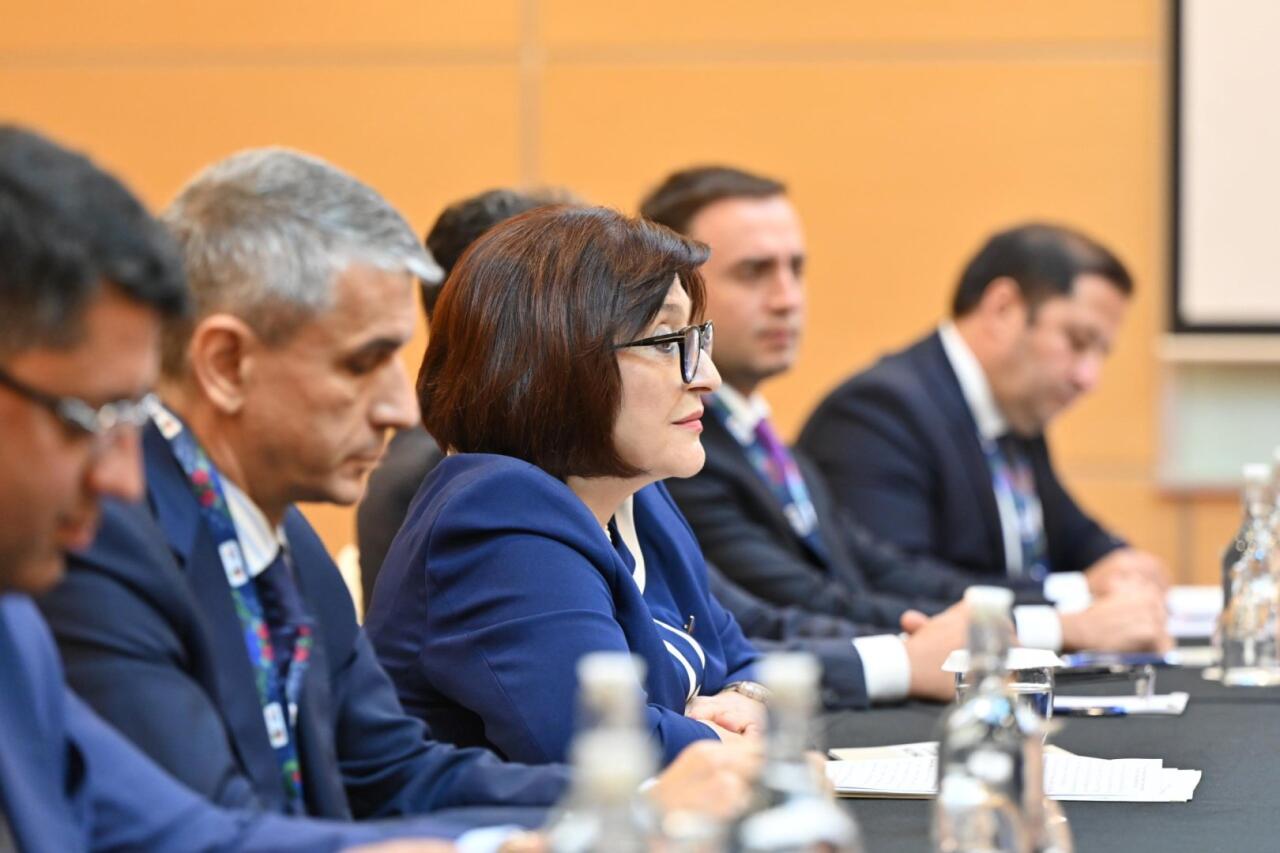 Sahibə Qafarova Kamboca Milli Assambleyasının sədri Xuon Sudari ilə görüşüb