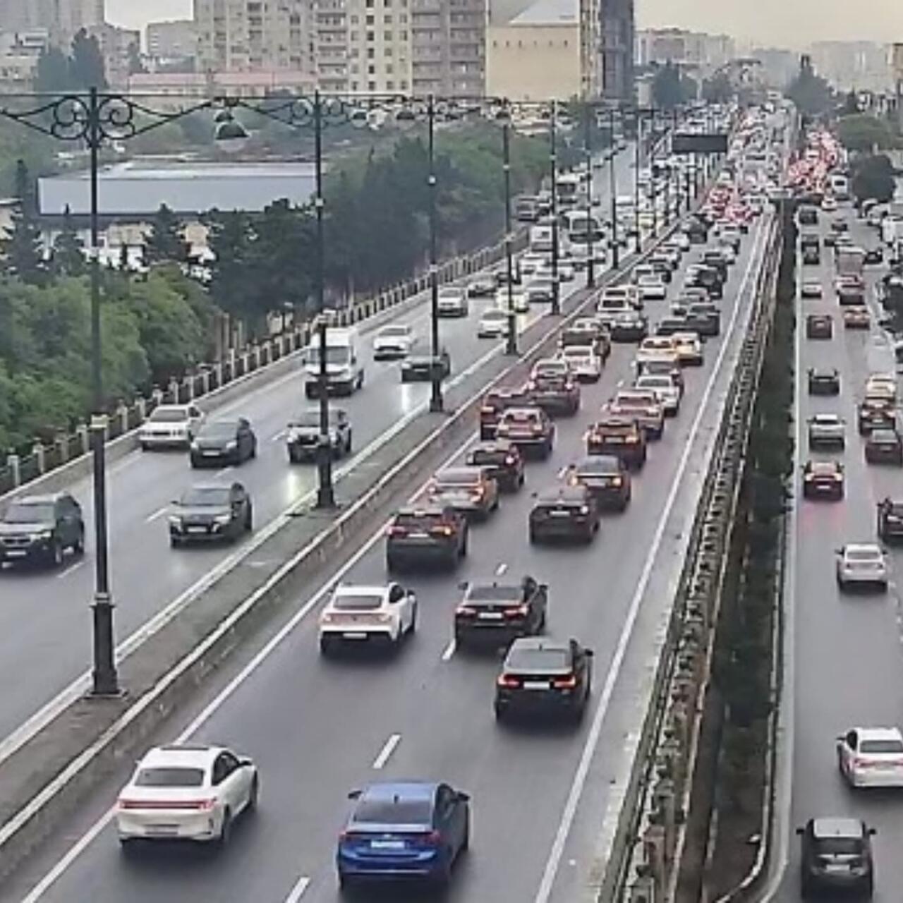 Paytaxtın