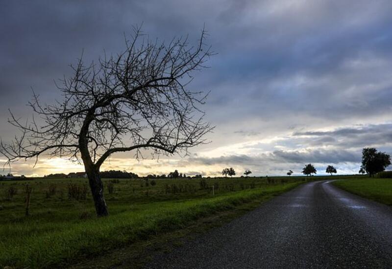 Психолог назвала способ предотвратить осеннюю депрессию