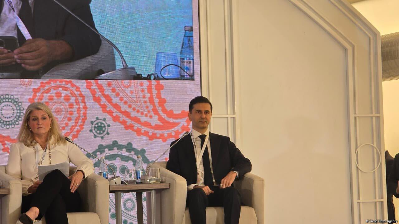 Bakıda 1-ci Azərbaycan Beynəlxalq İnvestisiya Forumu keçirilib