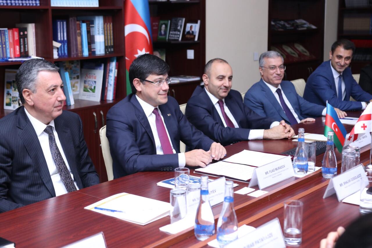 Министр спорта Грузии посетил Госкомитет Азербайджана по работе с диаспорой