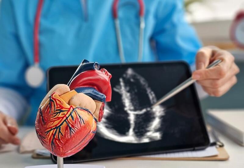 Найден простой способ поддержать здоровье сердца