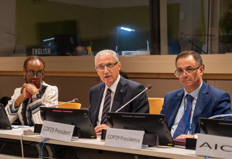 Азербайджан поможет африканским странам в области климатической дипломатии