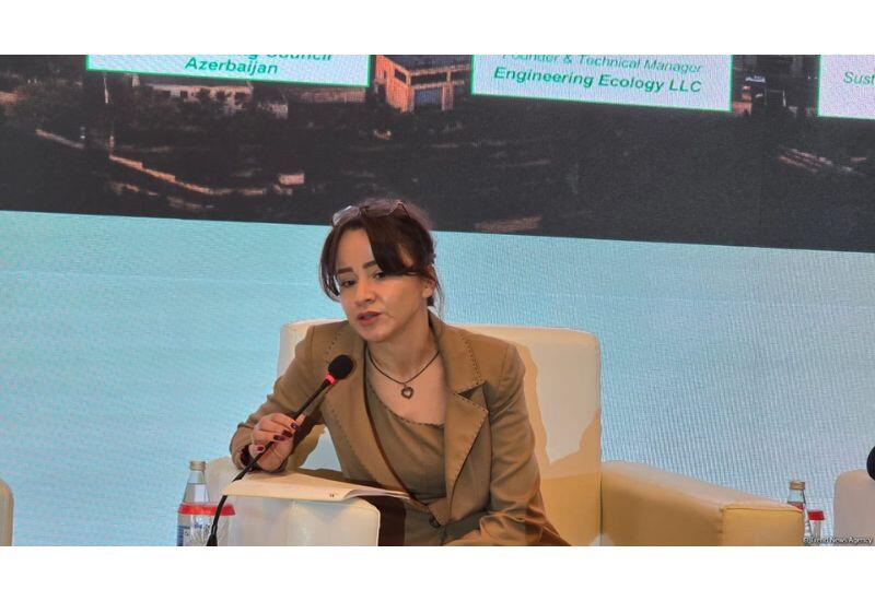 Азербайджан может стать региональным хабом "зеленой" энергетики