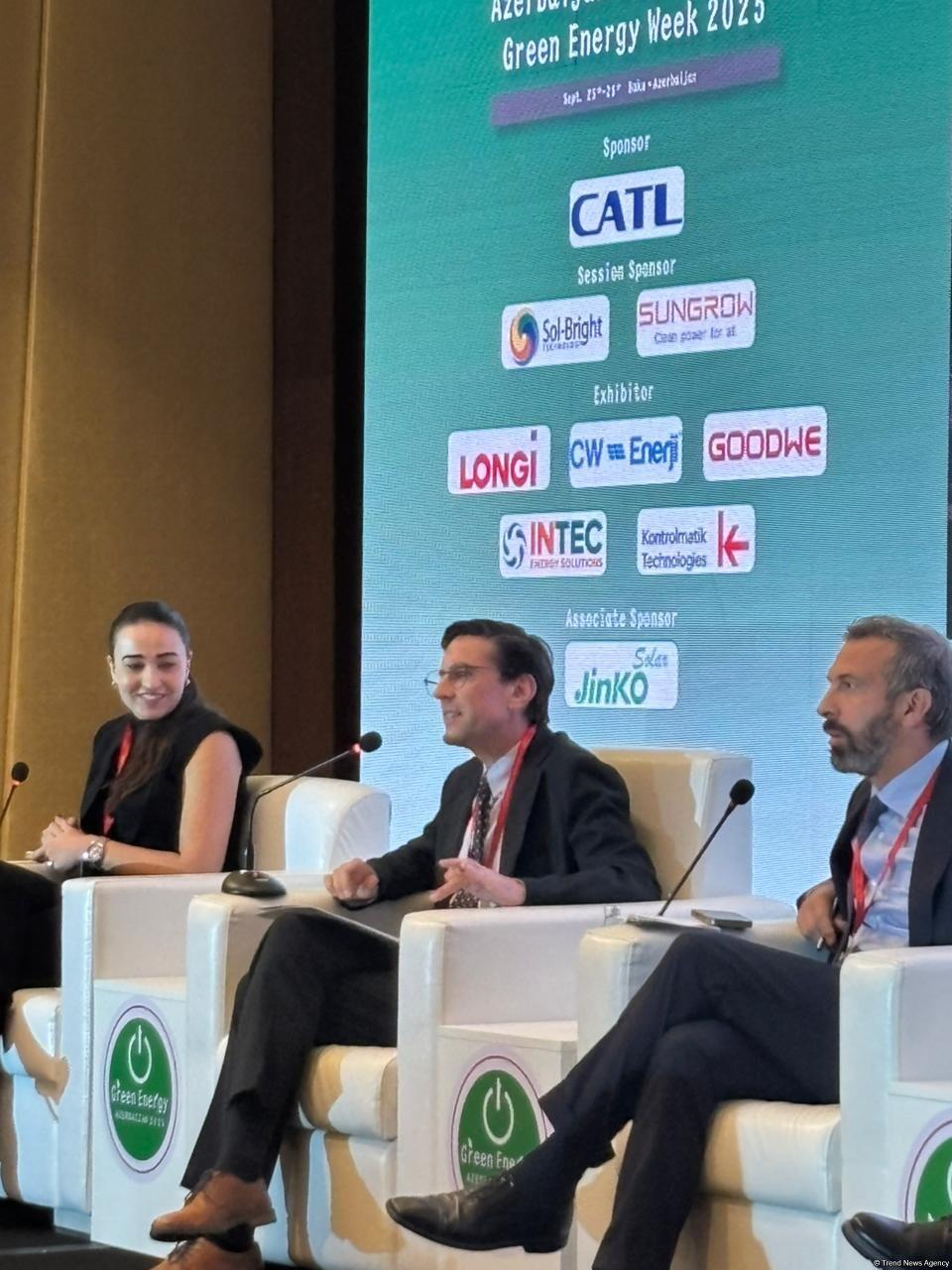 Azərbaycan və region ölkələrinin Avropaya "yaşıl" enerjinin ixracı qaydalarını razılaşdırması zəruridir
