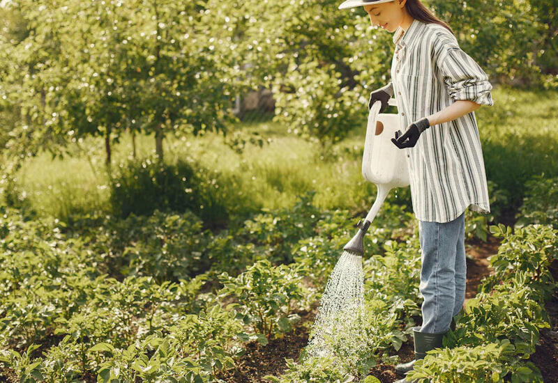 Stressin ən təbii dərmanı