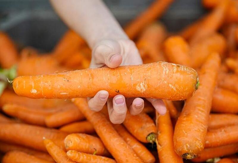 Врач назвала повышающие гемоглобин продукты