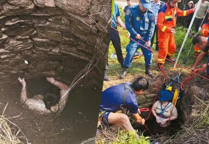 Женщина упала в колодец со змеями и провела там 54 часа, ожидая помощи