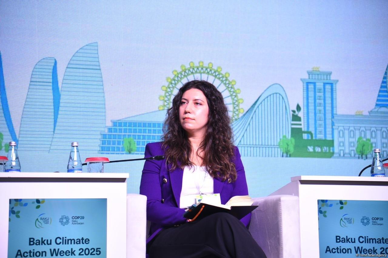 Началась Бакинская неделя климатических действий