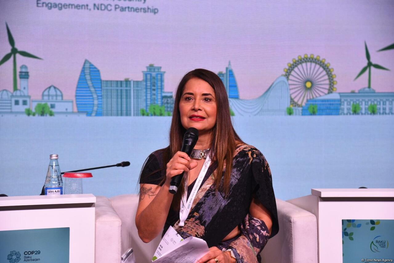 Началась Бакинская неделя климатических действий