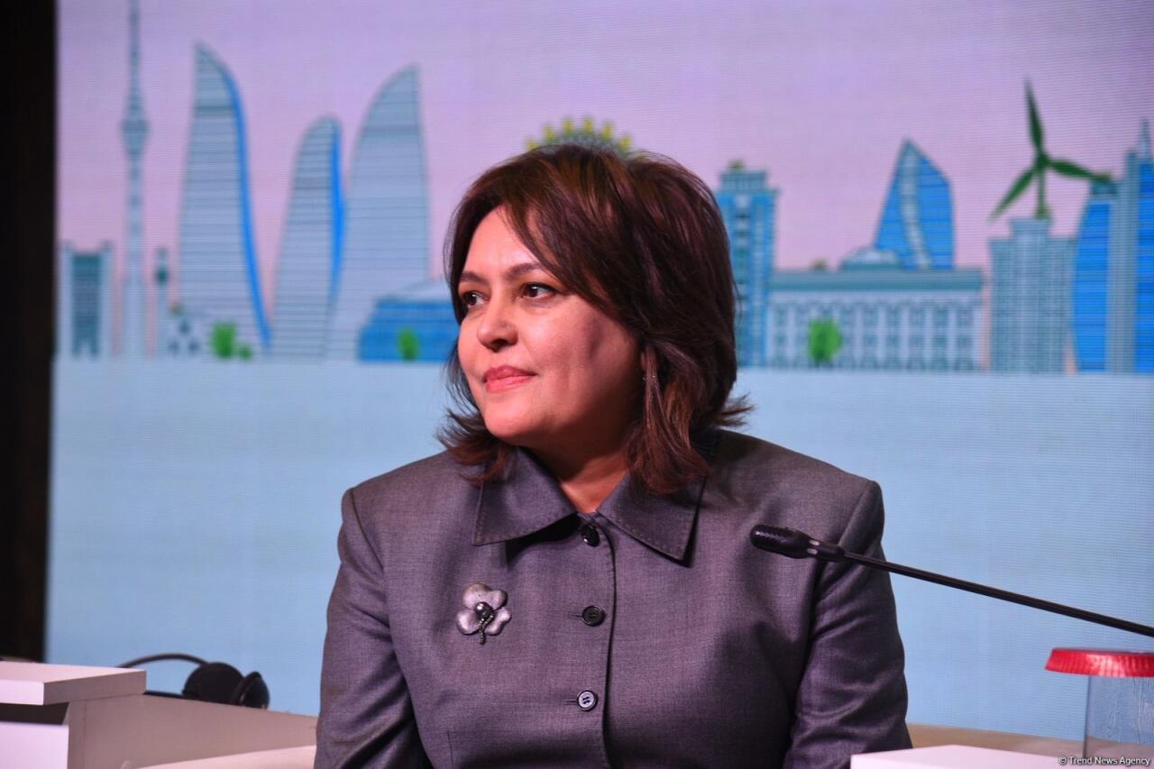 Началась Бакинская неделя климатических действий