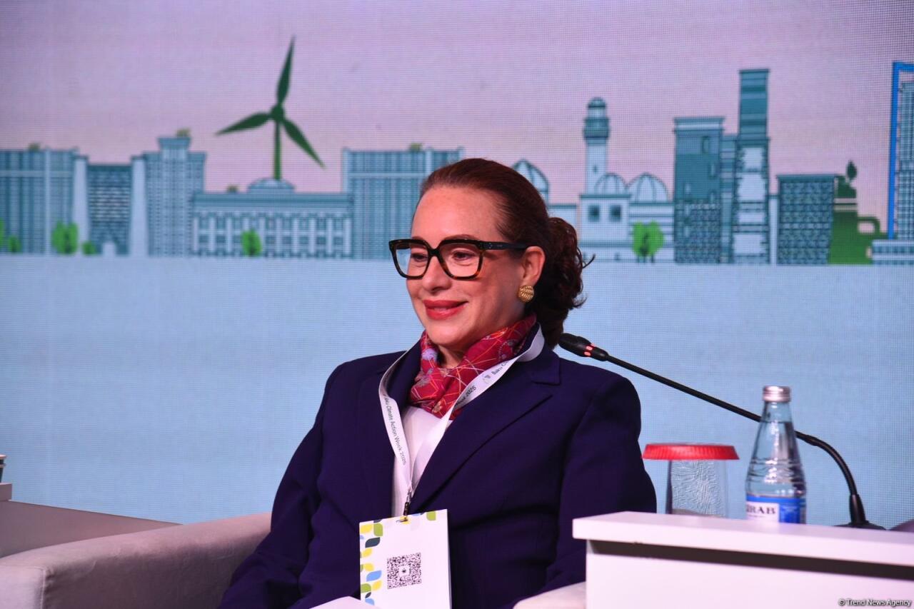 Началась Бакинская неделя климатических действий