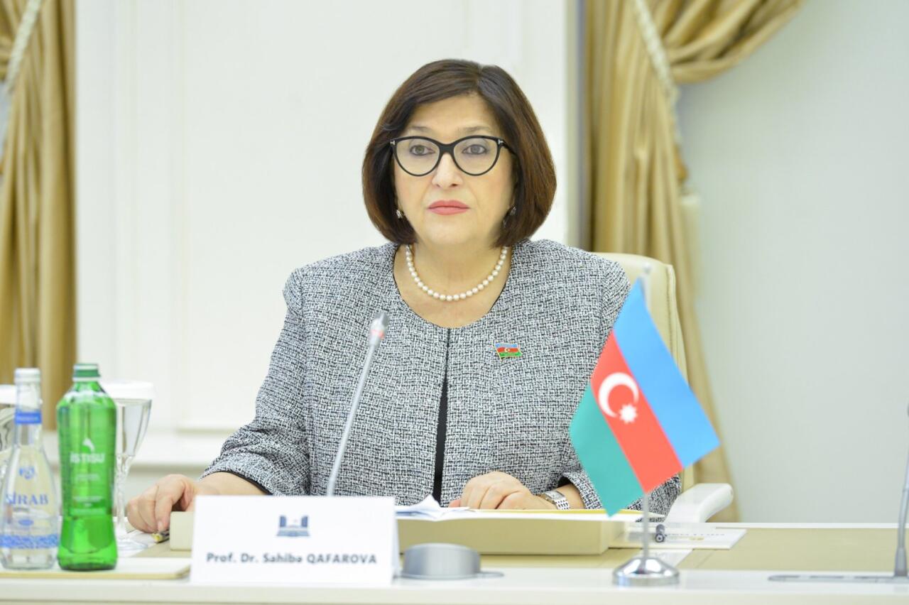 Sahibə Qafarova Türkiyənin İnsan Hüquqları və Bərabərlik Qurumunun sədri ilə görüşüb
