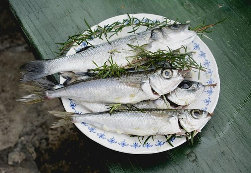 Выявлен способствующий долголетию рацион питания