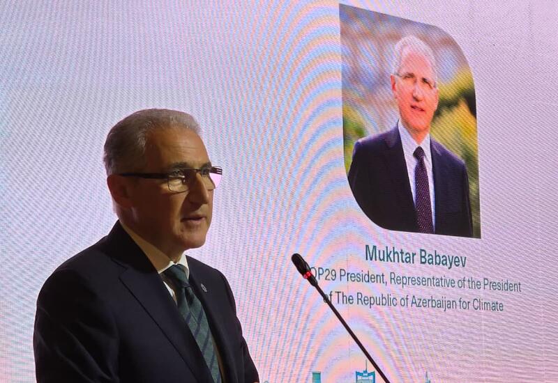 İnsan inkişafına sərmayə qoymaq iqlim baxımından ağıllı investisiyadır