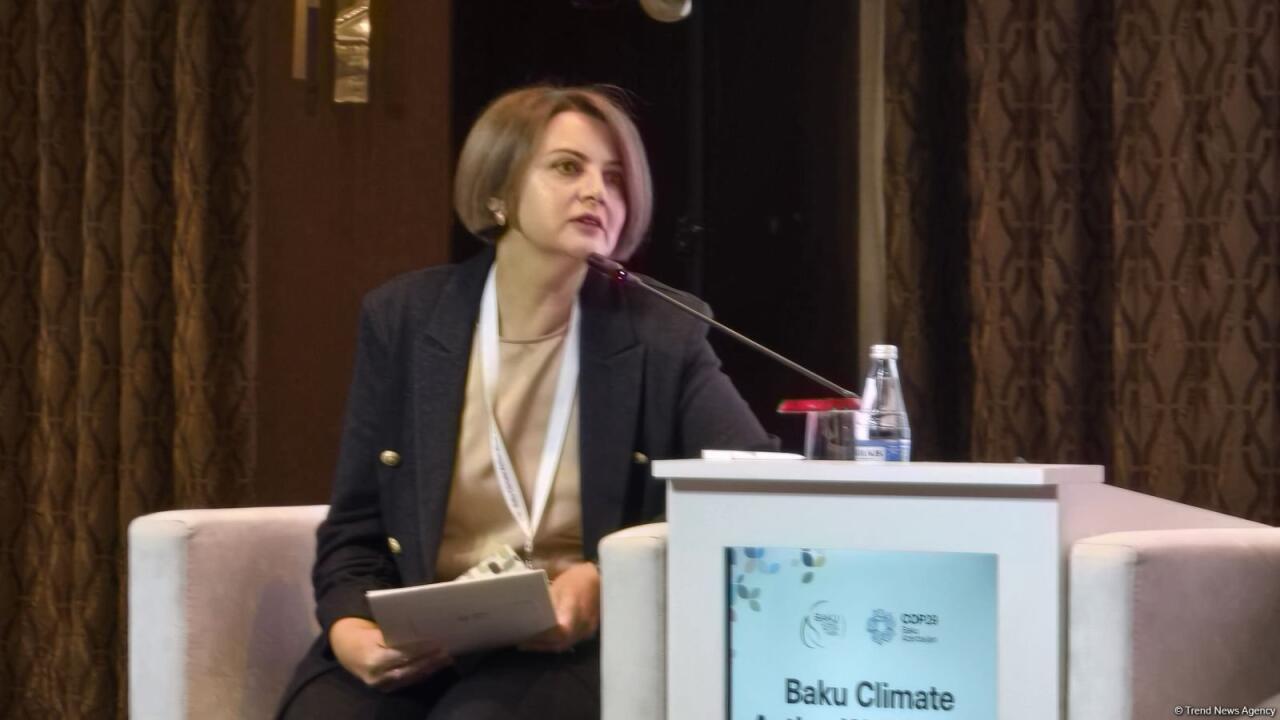 2-ой день Бакинской недели климатических действий
