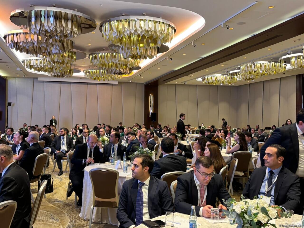 Bakı İqlim Fəaliyyəti Həftəsinin 3-cü günü start götürüb