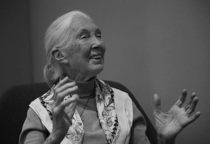 Умерла британский приматолог Джейн Гудолл