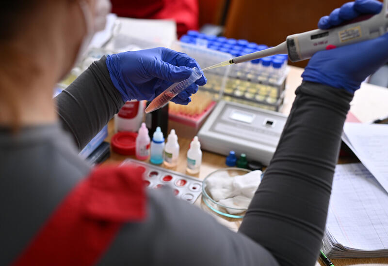 Врач рассказал, кто чаще страдает от опухолевых заболеваний крови