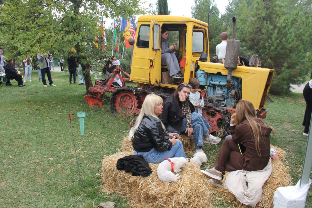 В Шамахы завершился Международный фестиваль барбекю