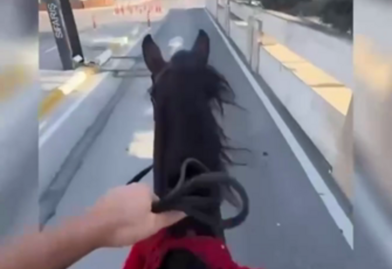 Atla gəldiyi üçün müştəriyə xidmət göstərilmədi