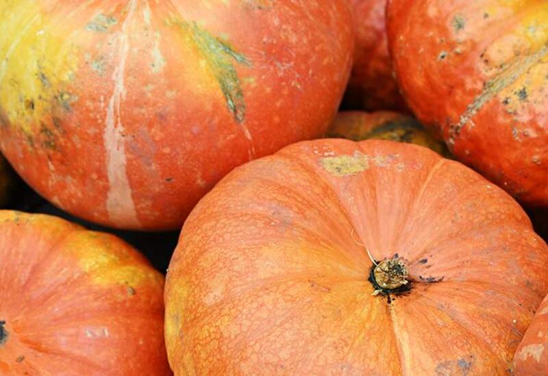 Эндокринолог рассказала о влиянии сезонных продуктов на сахар в крови