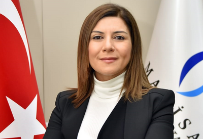 Азербайджан - один из самых активных членов ОТГ  - турецкий эксперт для Day.Az