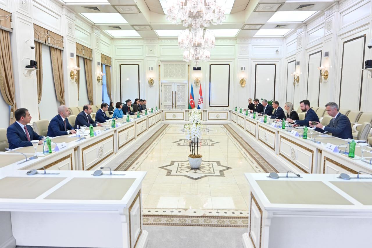 Sahibə Qafarova Xorvatiya parlamentinin sədri ilə görüşüb