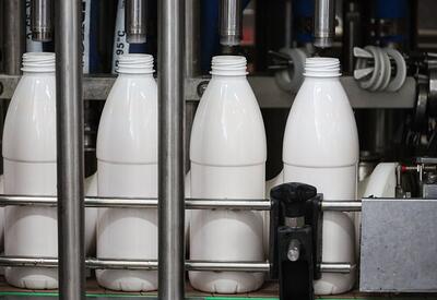 Привычный молочный продукт оказался защитником от кариеса