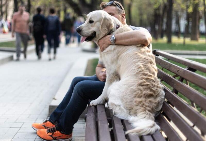 Психолог рассказала о влиянии собак на физическое и психическое здоровье