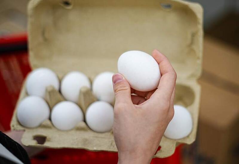 Нутрициолог назвала поддерживающие мозг в тонусе продукты