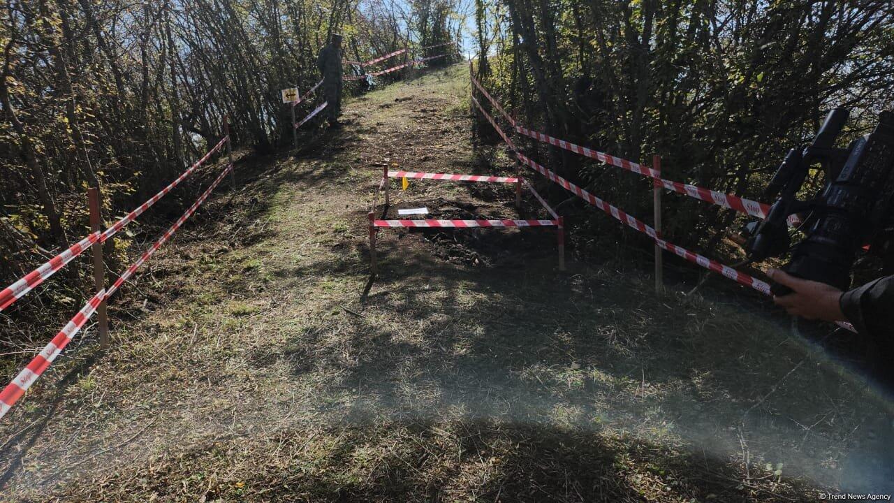 Участники международной конференции посетили массовое захоронение в Агдере