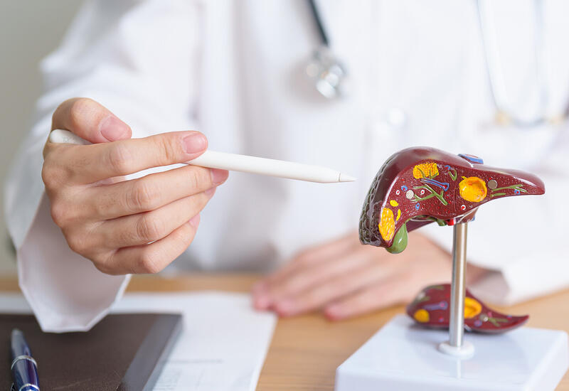 Назван простой способ уменьшить воздействие алкоголя на печень