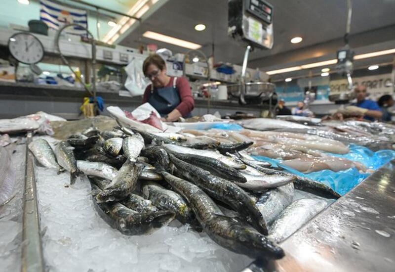 Иммунолог посоветовала доступные продукты для здоровья осенью