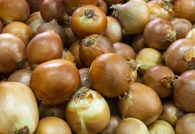 Обнаружены нейтрализующие вредное воздействие сахара овощи