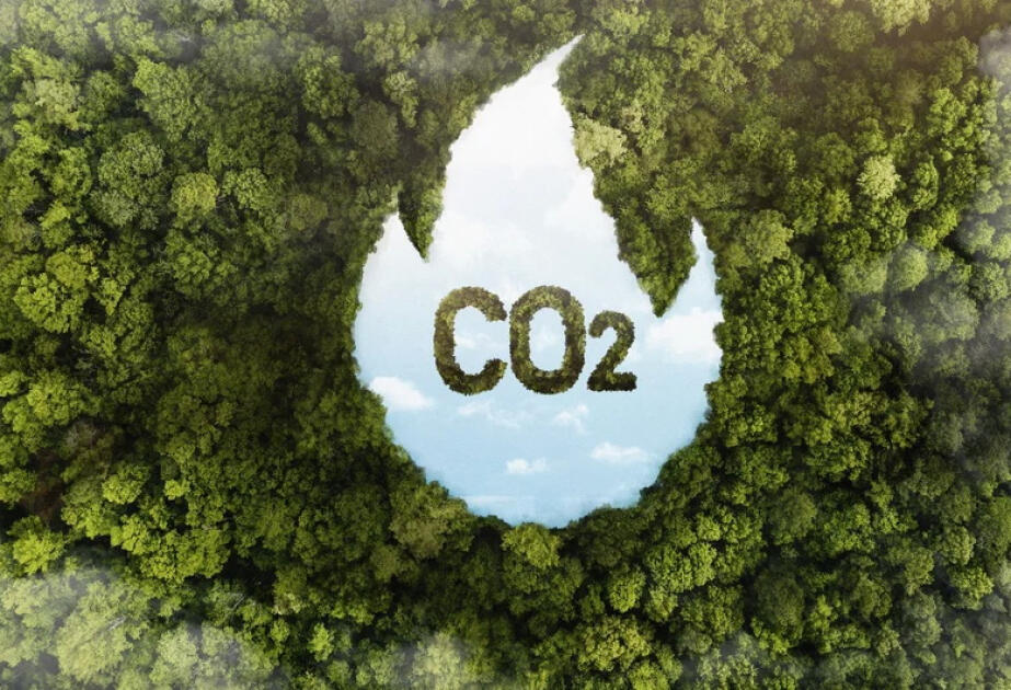 ВМО сообщила о рекордной концентрации углекислого газа в атмосфере