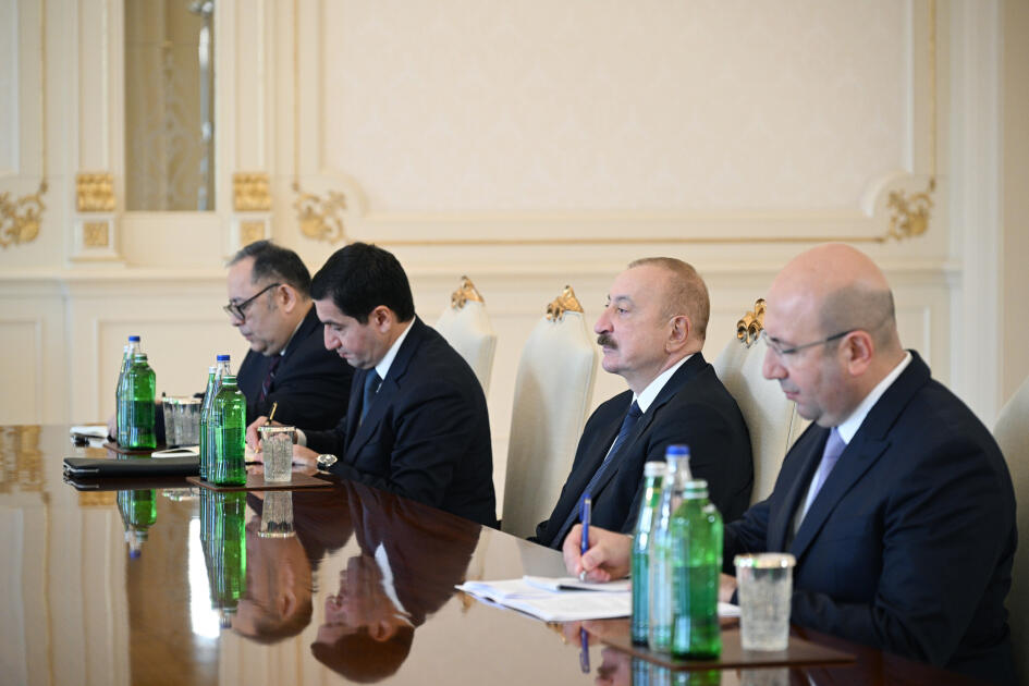 Prezident İlham Əliyev BMT-nin Məskunlaşma Proqramının icraçı direktorunu qəbul edib